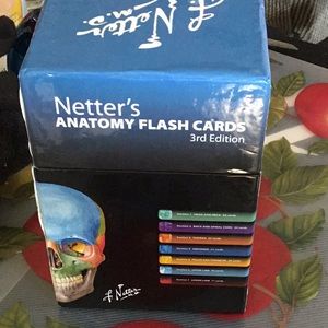 Betters anatomy flash cards